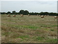 Harvested crop field near Glentham in Waddingham and Spital Ward