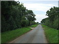 Lane heading west towards Bishop Norton in Bishop Norton