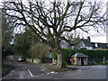 Sydling St Nicholas crossroads and The Tree in DT2 9NX