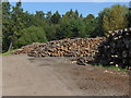 Log piles, Blane's Farm in SL5 8AZ