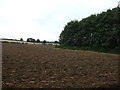 Farmland, Thorncroft Farm in DN21 4UA