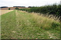 Hedgerow along the field edge in MK17 9HH