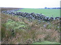 Boundary wall near Hawkwood farm in ML10 6GX