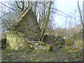 Ruined house near the Binn. in KY3 9LQ