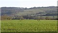 Arable land beneath the Quantock Hills in TA4 3ED