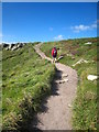 The coastal path from Land's End to Sennen Cove in TR19 7AE