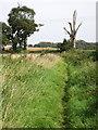 Path by the pumping station in MK17 9HY
