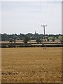 Phone wires across the hay field with Ridgmont church beyond in MK43 0XF