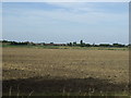 Farmland off the A16 in PE12 6AZ
