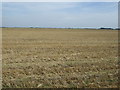 Farmland off New Road in Crowland and Deeping St. Nicholas Ward
