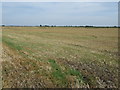 Farmland off Renew's Drove in PE6 0DE