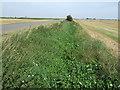 Dry drainage ditch beside Renew's Drove in PE6 0DE