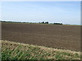 Farmland off Crowland Road in PE6 7QD