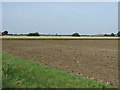 Farmland off the B1166 in PE6 8RQ