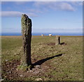 Standing stones on Lyn Down in EX35 6LL