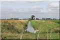 Drain off Roman Bank in PE12 8BW