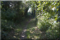 Bridleway becomes more shaded in TR4 9PD