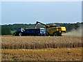Wheat harvesting operations (1) west of Chisbury, Wiltshire in SN8 3LH