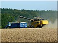 Wheat harvesting operations (2) west of Chisbury, Wiltshire in SN8 3LH