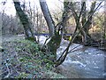 Footbridge over the Afon Alun/River Alyn in CH7 5PG