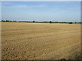 Farmland off Barnoak Road  in PE6 7SQ