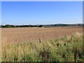 Arable fields north of A422 in Arrow with Weethley