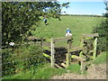 Stile for footpath north of Ludworth in DH6 1LZ