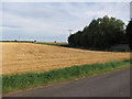 Stubble field by Camel Drove in CB6 1ES