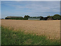 Farm buildings by Wisbech Road in CB6 1RA