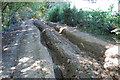 Rutted Track off Coldblow Lane in TN26 3PL
