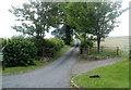 Entrance lane to Cefn Meri B&B near Llanfrynach in LD3 7AQ