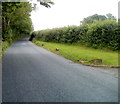 Trees and hedges alongside the B4558 near Llanfrynach in LD3 7AQ
