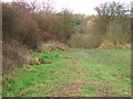 Footpath to the Old Railway Trail in DE3 0AX