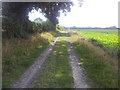 Track through farmland, Ashby in Somerleyton, Ashby and Herringfleet
