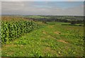Maize on Peasley Bank in ST18 9SB
