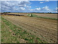 Fields on Marshland Fen in PE14 8QN