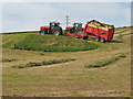 Silage harvesting 1 in DG9 9HW