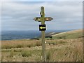 Arwyddbost Epynt / Epynt signpost in LD4 4EN