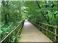 Boardwalk in the woods above Tondu in CF32 9HF