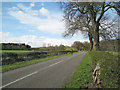 Packington Lane past Todd's Rough in Little Packington