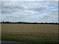 Farmland, Little Staughton in MK44 2BX
