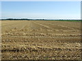 Harvested Field in CB7 5QA