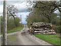 Log pile on a verge at a minor road junction in CV7 7HF