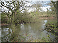 Flooded pit near Mulliner's Rough in CV7 7HF