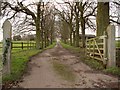 The driveway to Hunts Park Farm in CB9 7LE