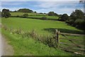 Fields near Cefn-Gader in Glantwymyn Community