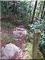Steep Path near Daltulich Bridge in IV36 2QL