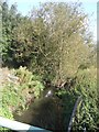 Ford Brook - upstream of Vicarage Road in WS3 4LF
