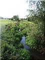 Ford Brook - downstream of Vicarage Road in WS3 4LF