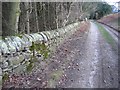 Stone Wall at Gwysaney in CH7 6PB